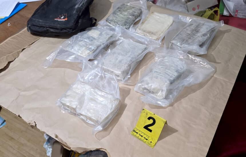 Uhapšene dve osobe zbog 12 kilograma kokaina