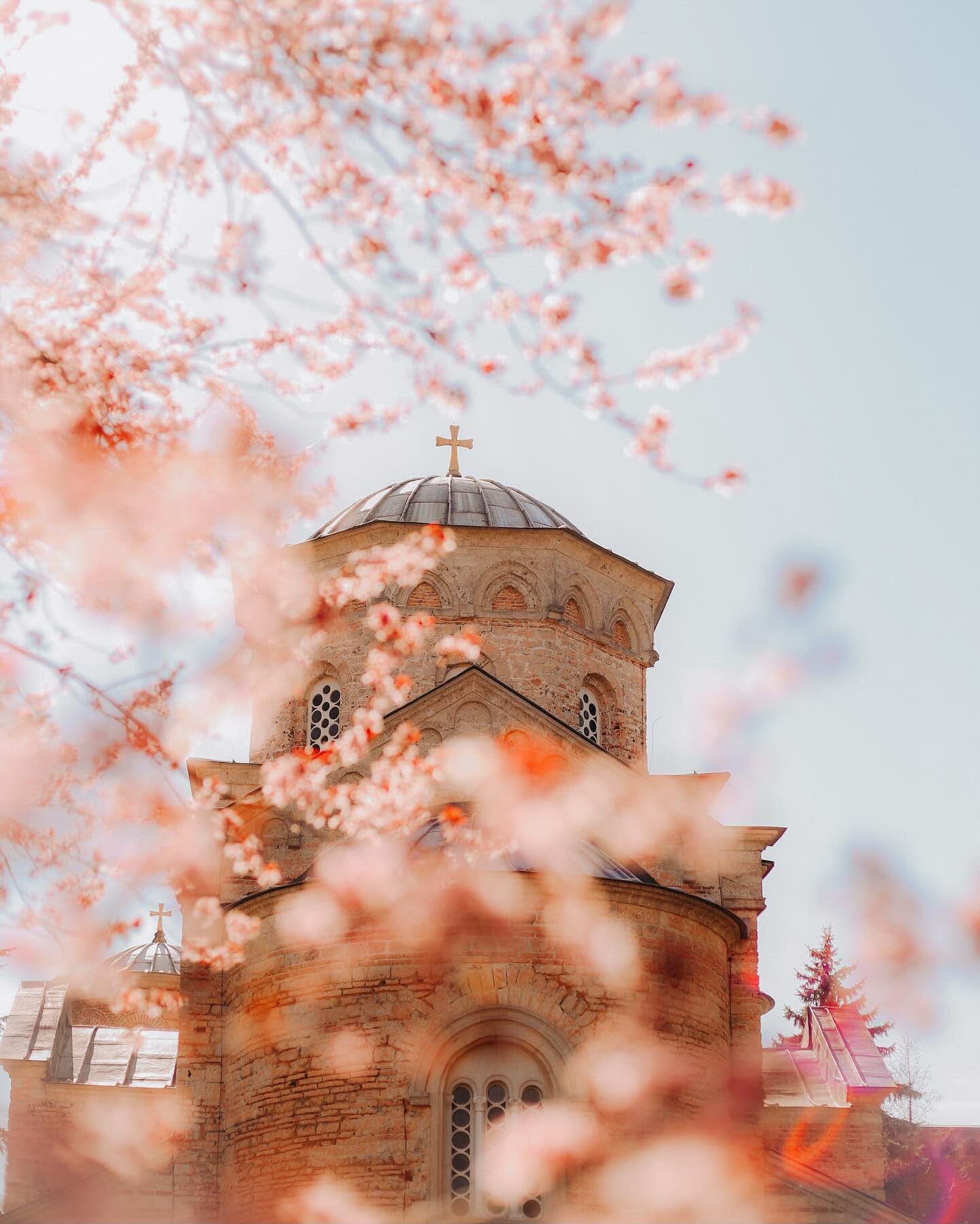 Kulturni centar „Ribnica“ Kraljevo organizuje trodnevnu radionicu fotografije „Kadar grada“ u okviru Street art festivala, namenjenu učesnicima starijim od 14 godina koji žele da unaprede znanje iz fotografije i kroz objektiv zabeleže život na ulicama, uličnu umetnost i festivalsku atmosferu. Street art festival: Radionica fotografije „Kadar grada“