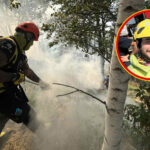Dimitrije Jovičić: Kiša saveznik u borbi sa požarom