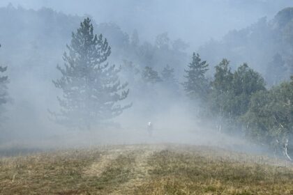 Jovičić: Požar traje, potrebna korita i voda za konje