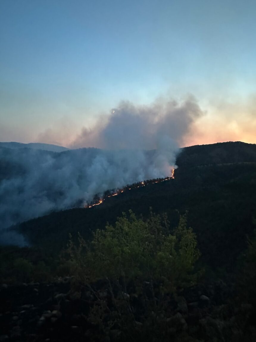 Foto: DVD Kraljevo