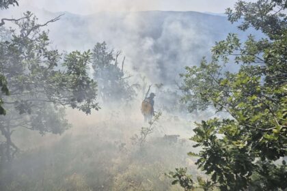 Dimitrije Jovićić: Požar na Stolovima i dalje aktivan