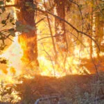 Četiri velika požara u Srbiji: Maglič lokalizovan, gore Stolovi
