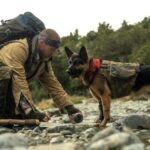 „Srce zveri“: Bred Pit u novom trileru u bioskopu KvArt