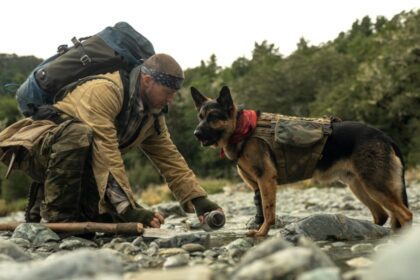 „Srce zveri“: Bred Pit u novom trileru u bioskopu KvArt