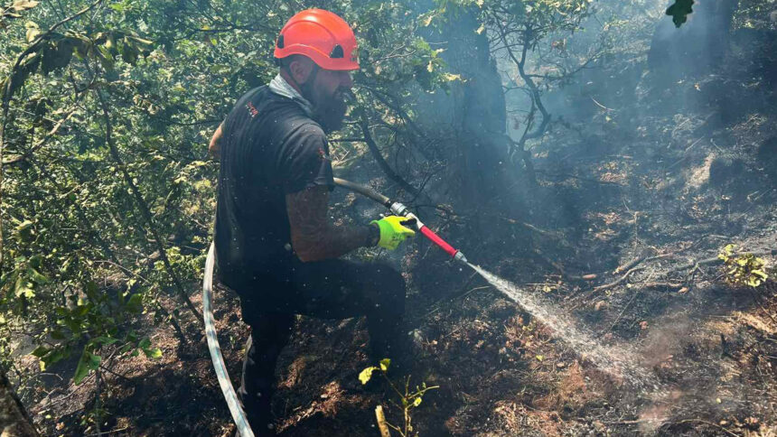 Dimitrije Jovičić: Vatrogasci pokušavaju da zaokruže požar