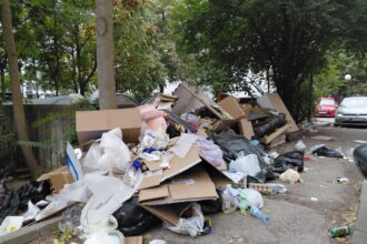 Nagomilano smeće na Gradskom keju, stanari traže hitnu reakciju nadležnih