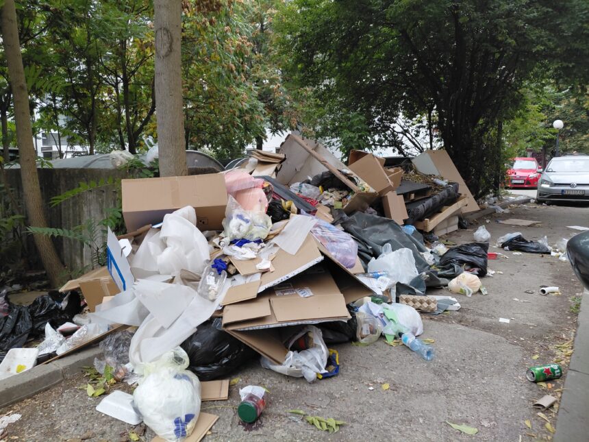 Kako ističu stanari zgrada preko puta Doma društvenih organizacija, problem nije samo u gomilanju smeća, već i u načinu na koji se otpad odlaže i skladišti. Zbog toga upućuju apel i zaposlenima u okolnim firmama da vode računa gde ostavljaju otpad i da ga ne odlažu na način koji dodatno narušava urednost ovog dela grada. Nagomilano smeće na Gradskom keju, stanari traže hitnu reakciju nadležnih